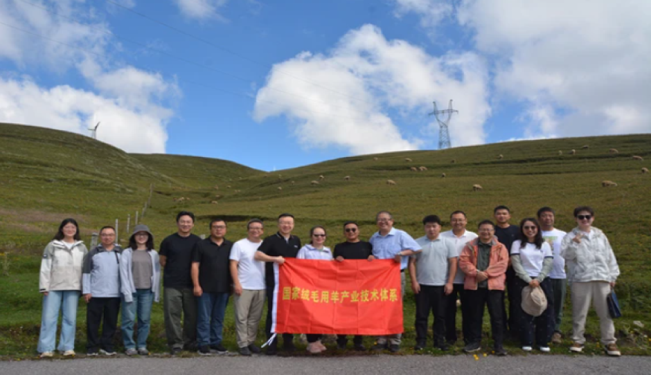 国家绒毛用羊产业技术体系岗站专家一行到昭通市开展半细毛羊产业指导与技术服务